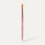 Pinceau Pinky Gradient Brush