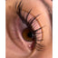Wet Look Lashes (4 lengths) (Wet look)