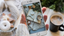 How to improve your beauty photos on your cell phone? 4 essential applications