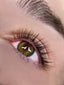 KIT REHAUSSEMENT DE CILS PREMIUM