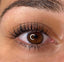KIT LASH THERAPY SOIN