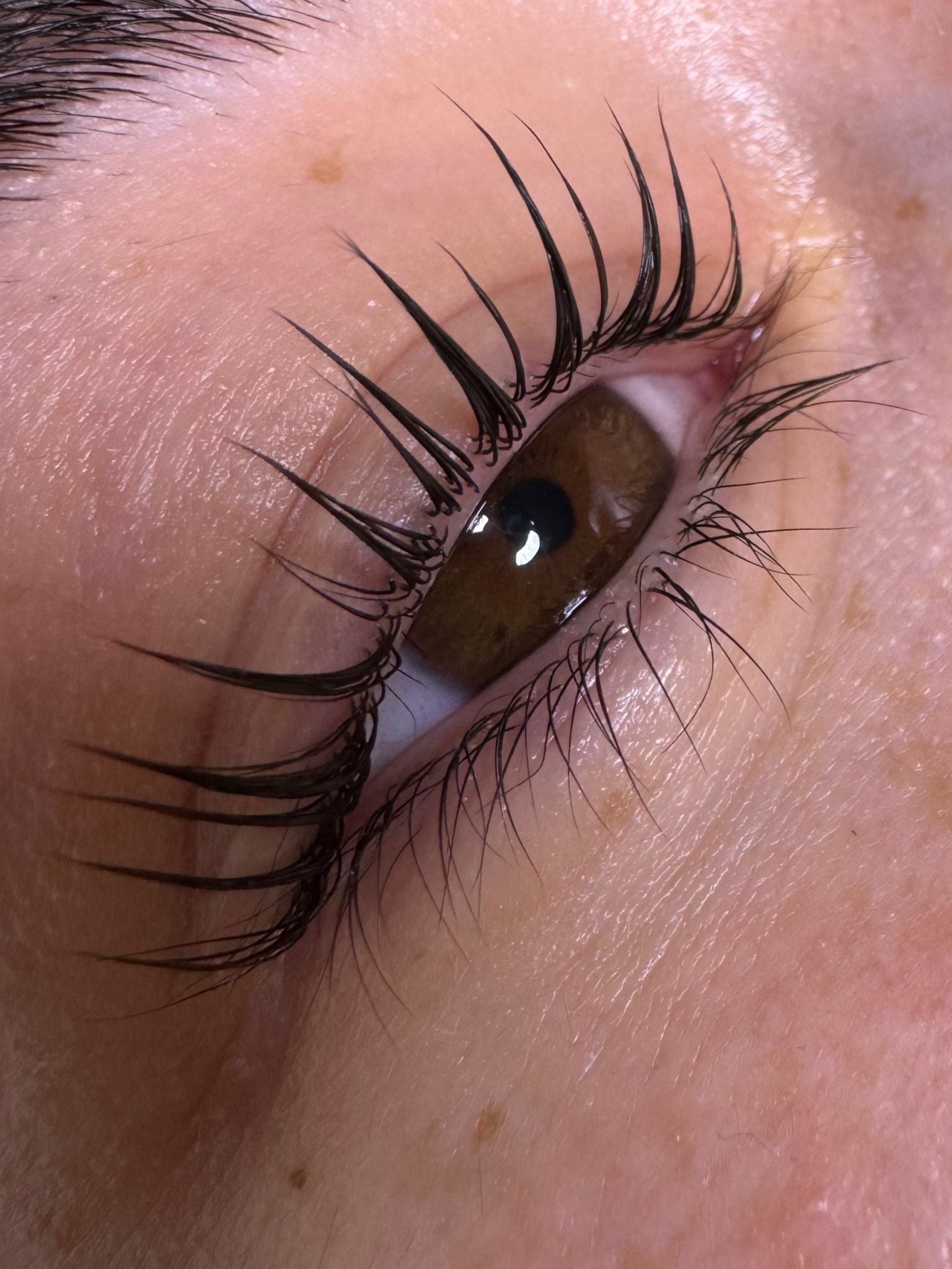 KIT REHAUSSEMENT DE CILS