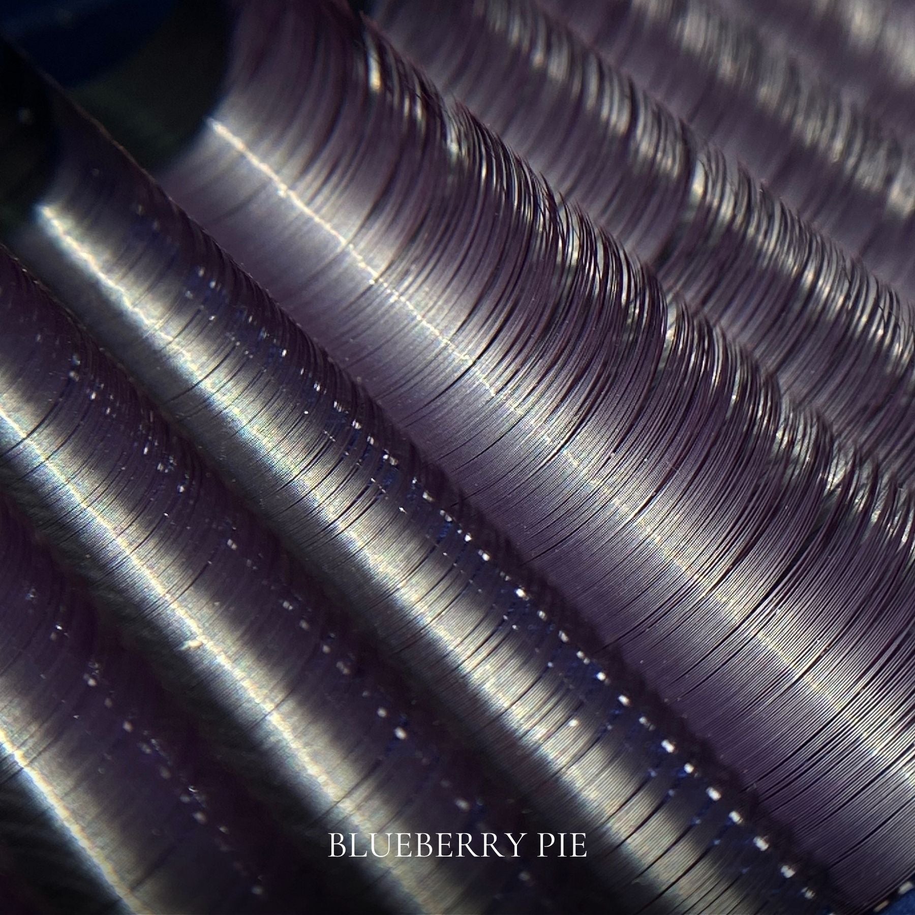 CILS CLASSIC BLUEBERRY PIE