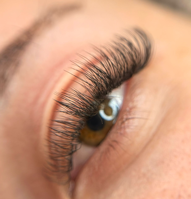 3DW Velours Lashes (tailles uniques) – Extensions de cils professionnelles effet 3D velours