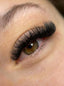 Refilash® Extension de cils Camélia Fluff