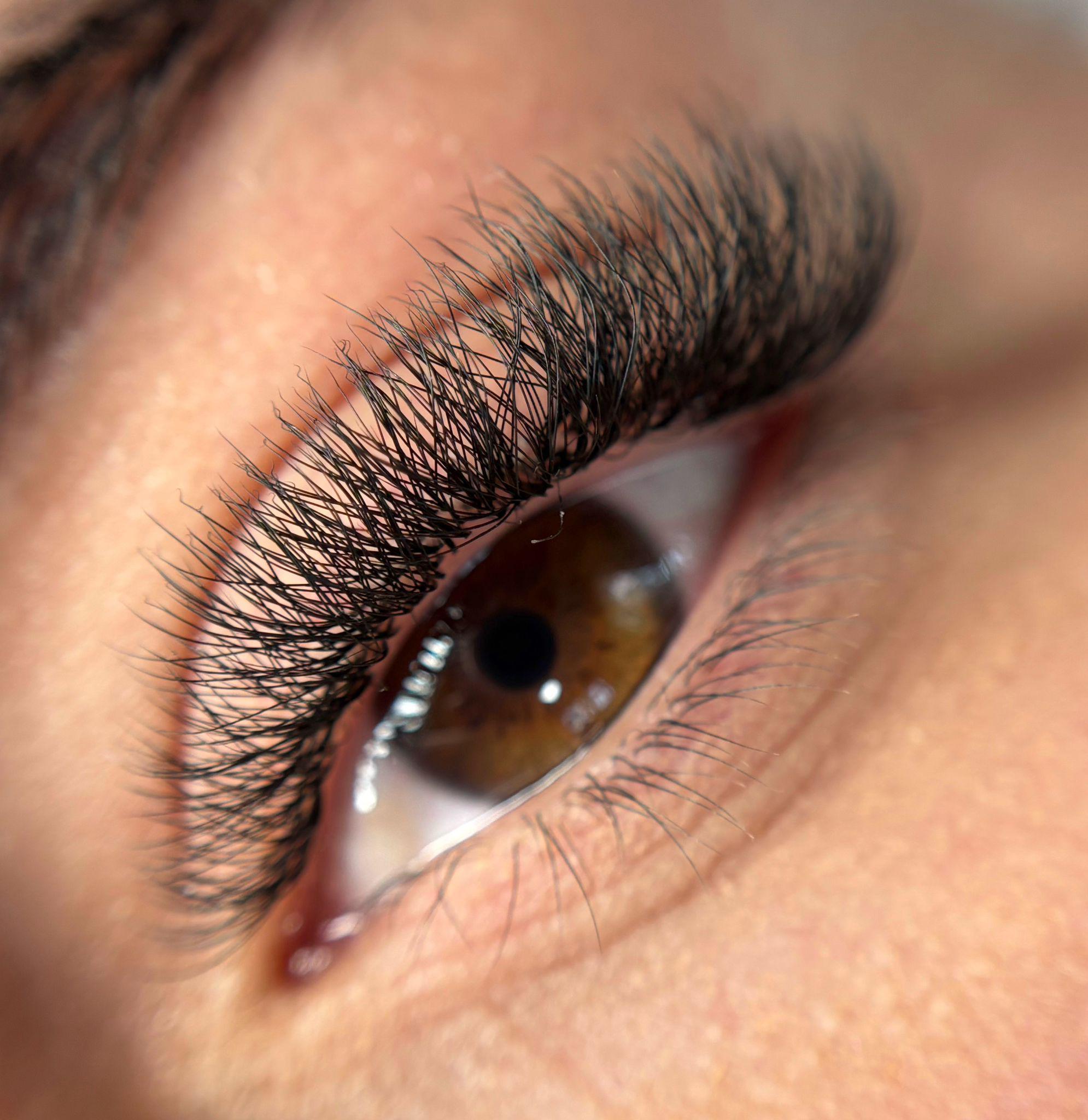Pose d’extensions de cils 3DY Velours Lashes Velvet Extension