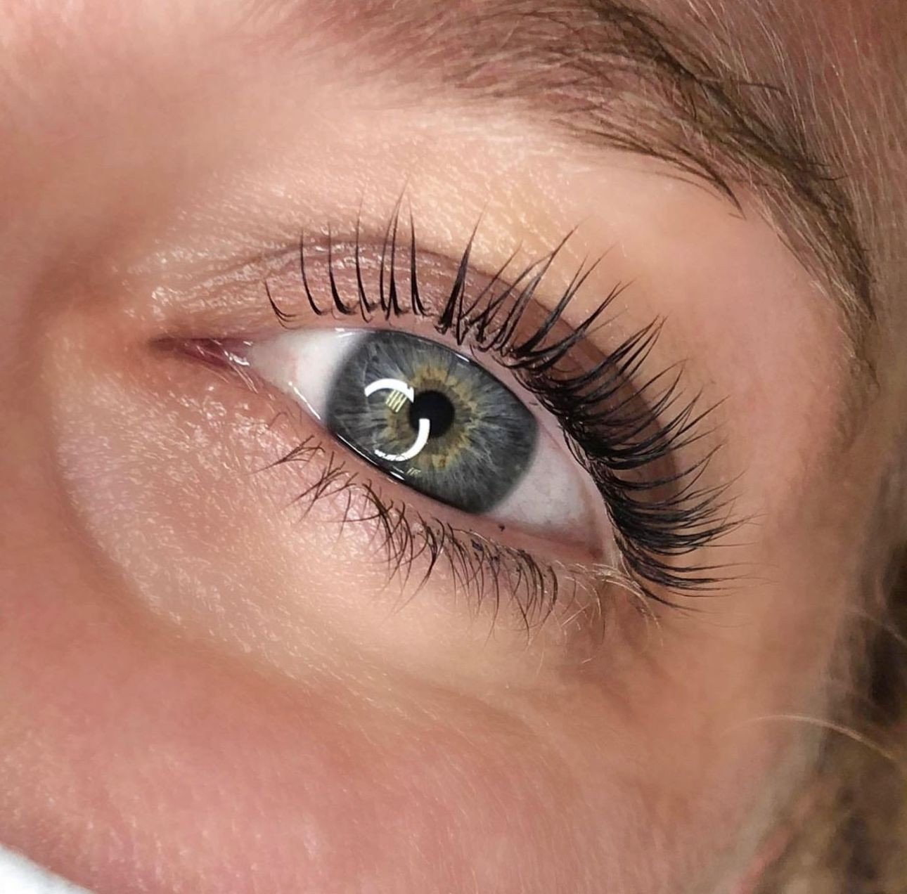 Détail du rehaussement de cils Lash Lift réalisé avec la colle Velvet Extension